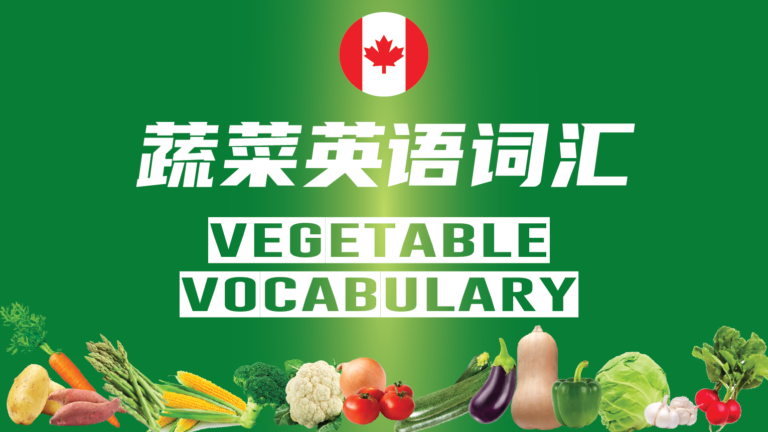 Vegetable Vocabulary