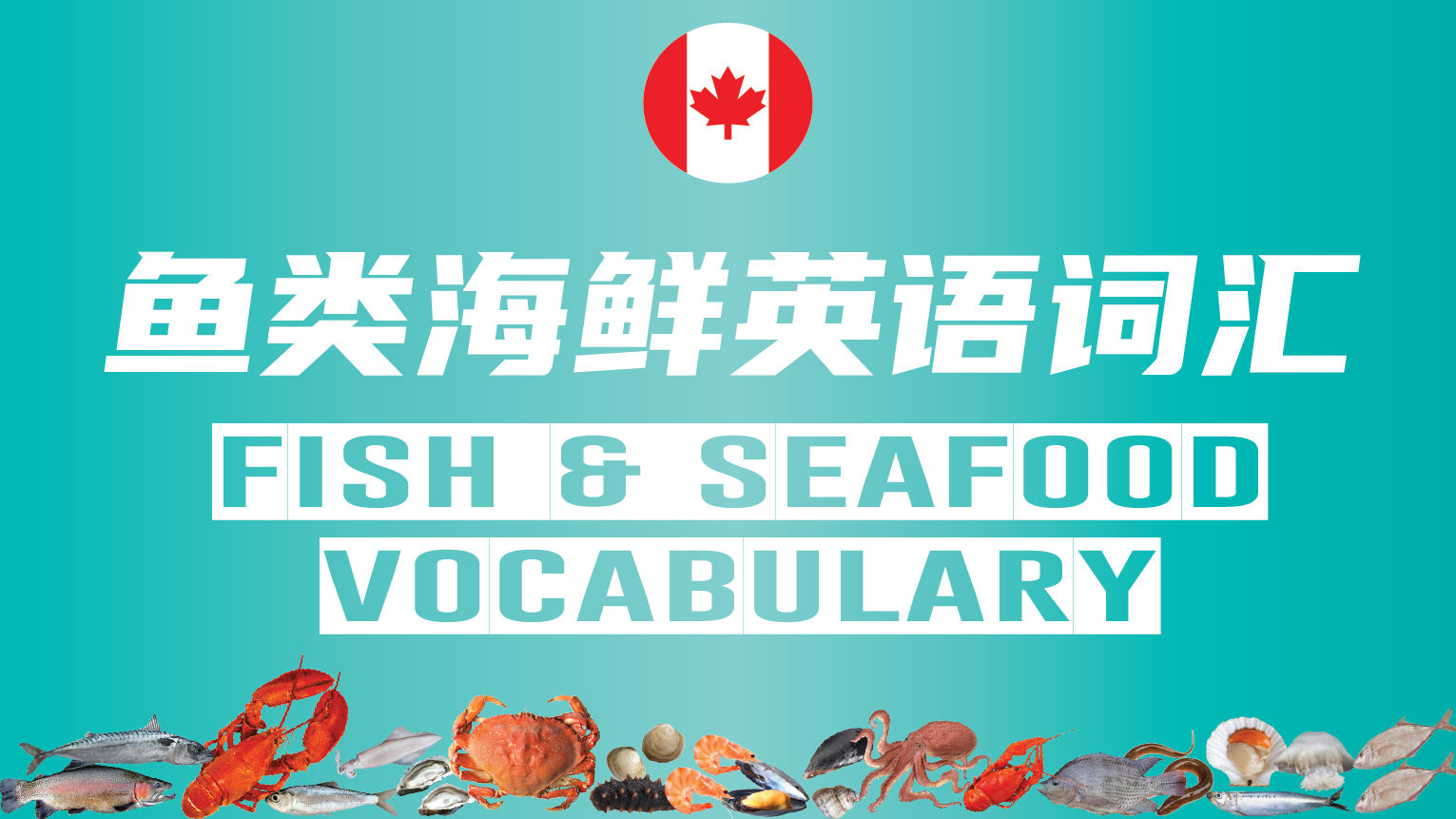Fish and Seafood Vocabulary