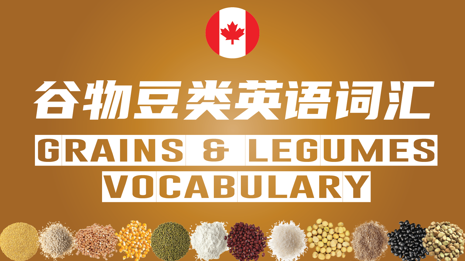 Grains and Legumes Vocabulary
